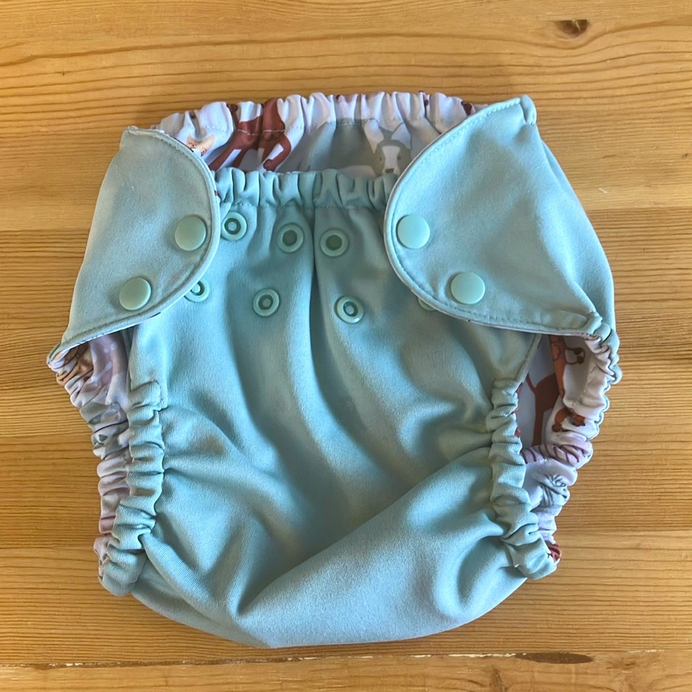 Esembly Cloth Diaper Outer in Sea Glass